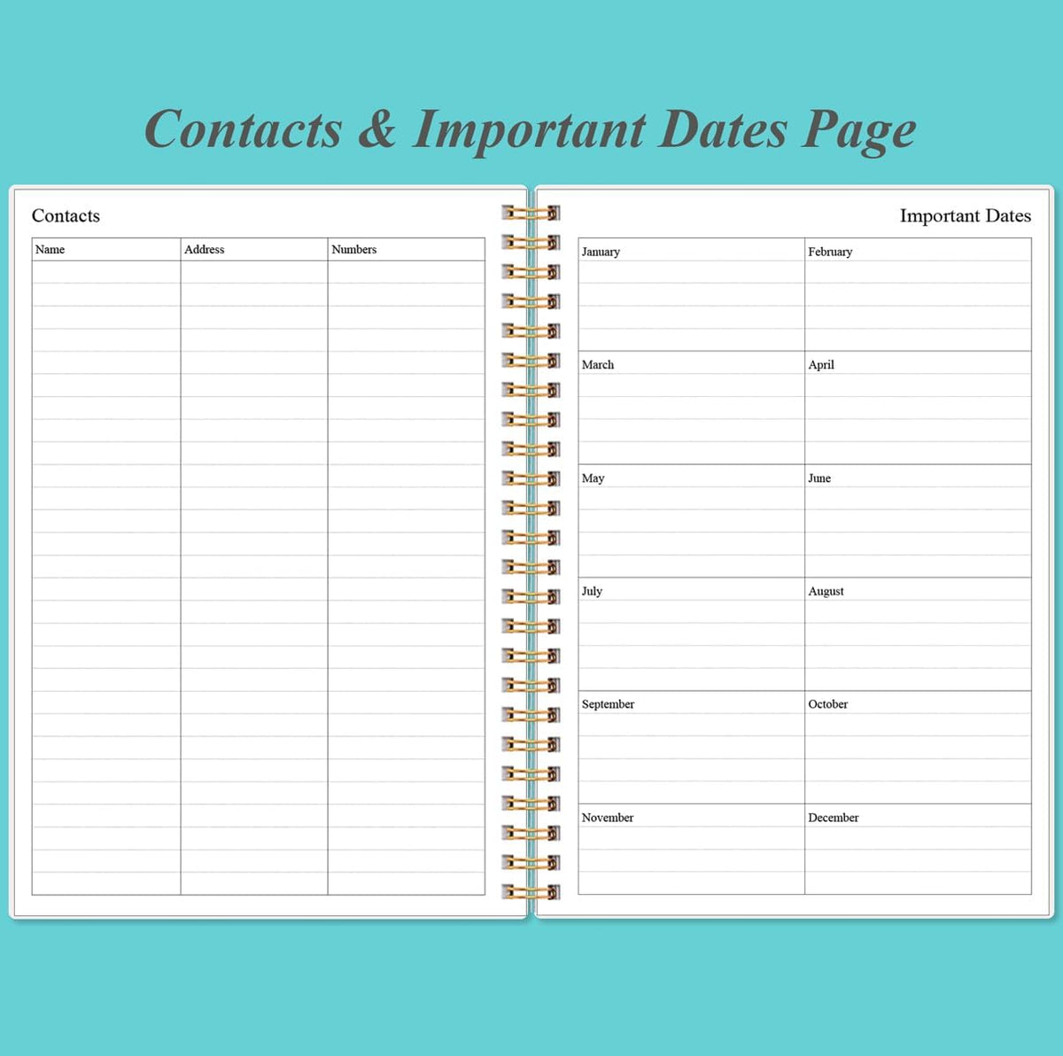Daily Planner Undated - A5 To Do List Notebook Hourly Schedules, Spiral Appointment Planner for Women and Men, PVC Hardcover, Inner Pocket, Elastic Closure, 5.8" x 8.3", Teal Flowers