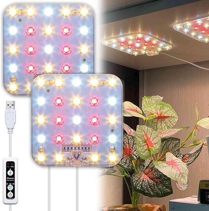 DOMMIA Full Spectrum LED Grow Light for Indoor Plants, 2 Panels 10W with 6/12/16h Timer Dimmable Plant Lights for Flower Veg Plant Growth USB, Warm White, 1-Pack