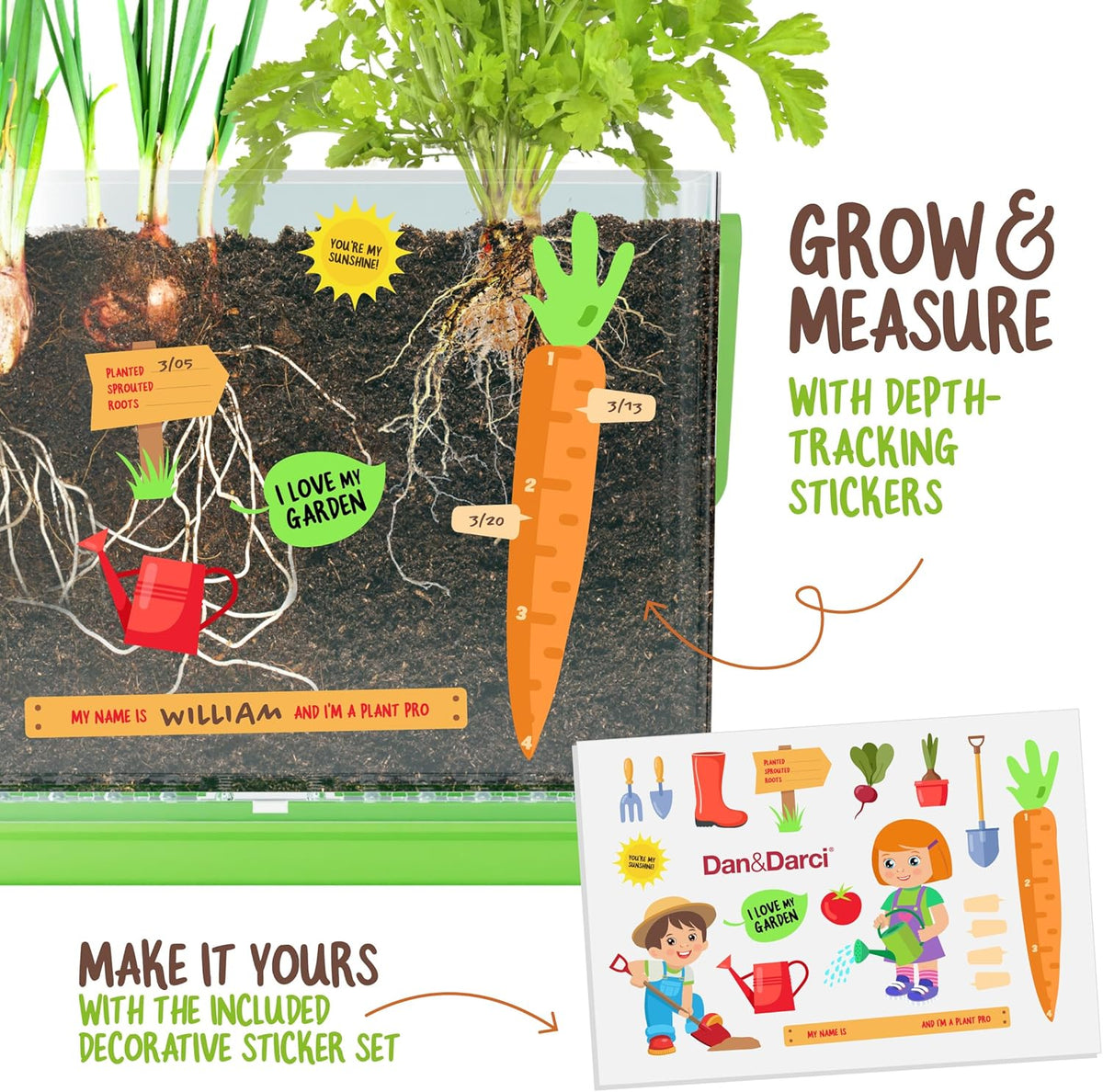 Dan&Darci root viewer kit for kids, grow your own plant, science STEM toy, craft gardening kit for ages 4-8